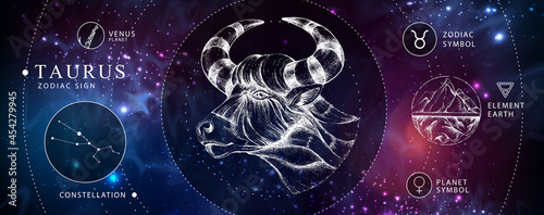 Modern magic witchcraft card with astrology Taurus zodiac sign. Realistic hand drawing bull head. Zodiac characteristic