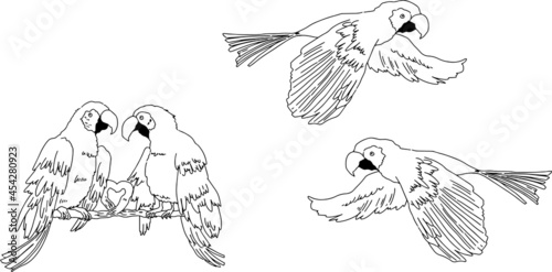 モノクロ線画のお洒落なオウムのイラスト
