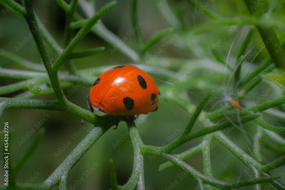 Fototapeta premium adventure awaits