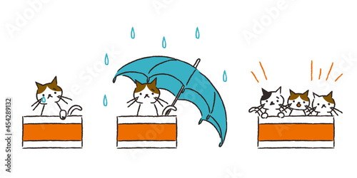 いろんな捨て猫