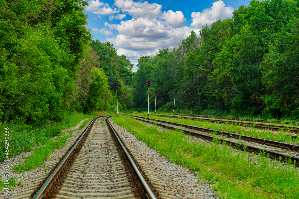 Fototapeta premium View of the empty railroad tracks in the forest between the trees. The grass grows between the rails.