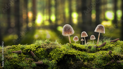 Mossy surface in autumn forest with a small fungus mushrooms on a stump, moss, spruce cones and sun ray. Image with a copy space in an autumn forest. A background image. Realistic 3d illustration.  photo