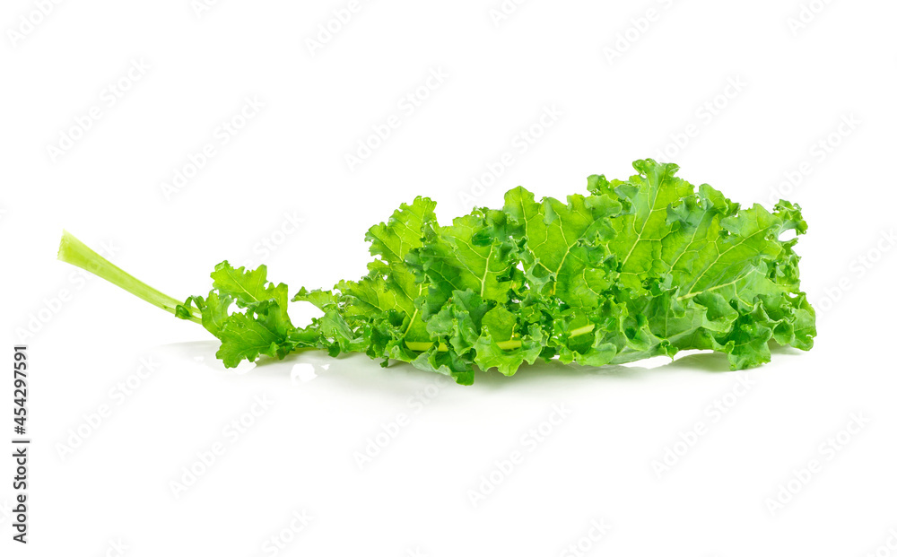 fresh green kale leaves isolated on white fresh green kale leaves isolated on white