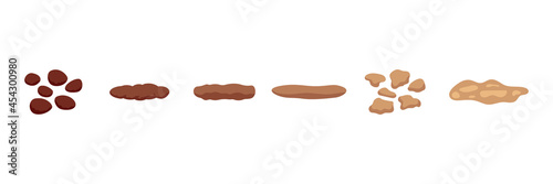 Stool faeces type classification, structure excrement. Types consistence feces. Normal and problem unhealthy faeces. Digestion result. Vector illustration