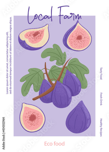 Fruit fig juice card design. Sweet figs fruit on branch with leaves vector hand drawn poster concept.