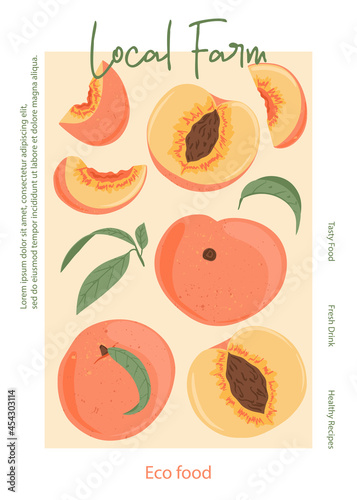 Fruit peach juice vector hand drawn poster design. Ripe peaches, whole and sliced from local farm.