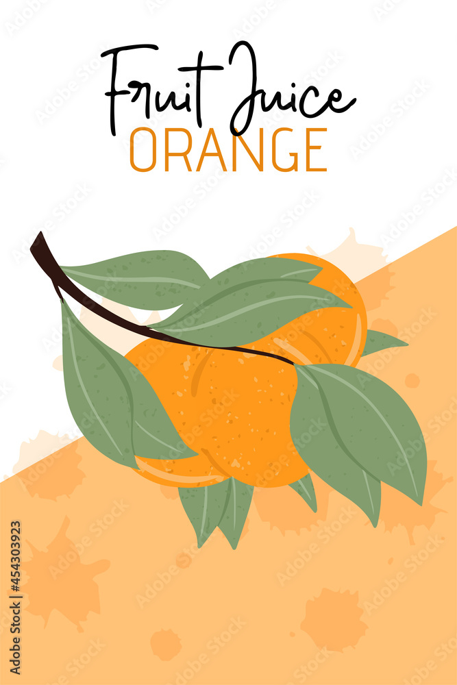 Fruit orange juice packaging design. Orange fruits on branch with leaves vector hand drawn illustration.