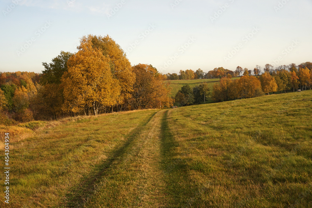 Autumn atmosphere on hilly countryside, bales of hay, yellow and red leaves on beach trees, autumn concept, Krusne Hory, Czech Republic