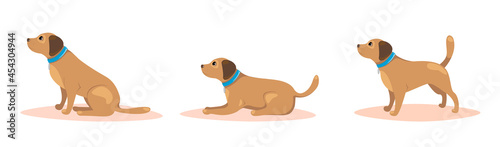 Set of poses of dog. Pet training concept. Vector illustration.