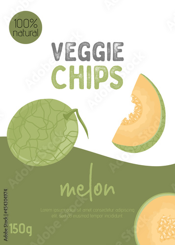 Fruit melon juice packaging design. Fresh and ripe melon vector hand drawn illustration.