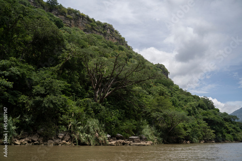 jungle in cañon del sumidero national park in chiapas, mexico