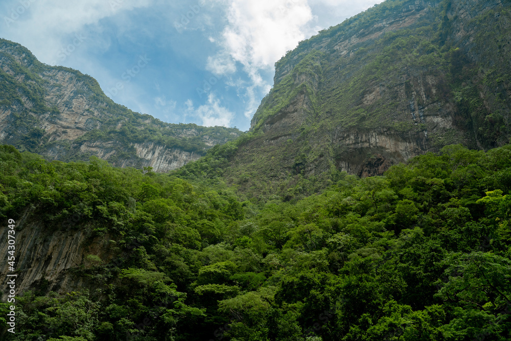 jungle in cañon del sumidero national park in chiapas, mexico