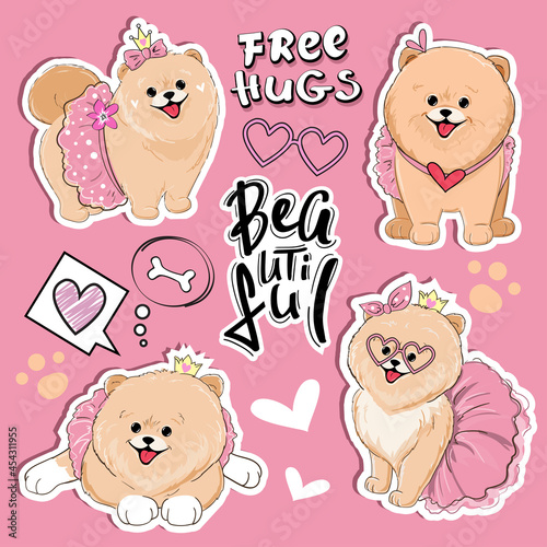 Beautiful stickers little spitz dogs girl and the inscription beautiful. Vector cartoon illustration for kids t-shirt design