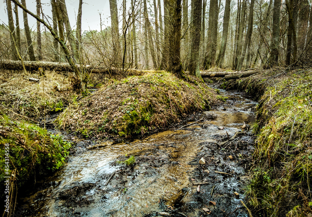 Obraz premium strumień