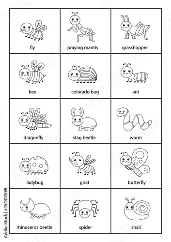 Cute set of insects with names in English.