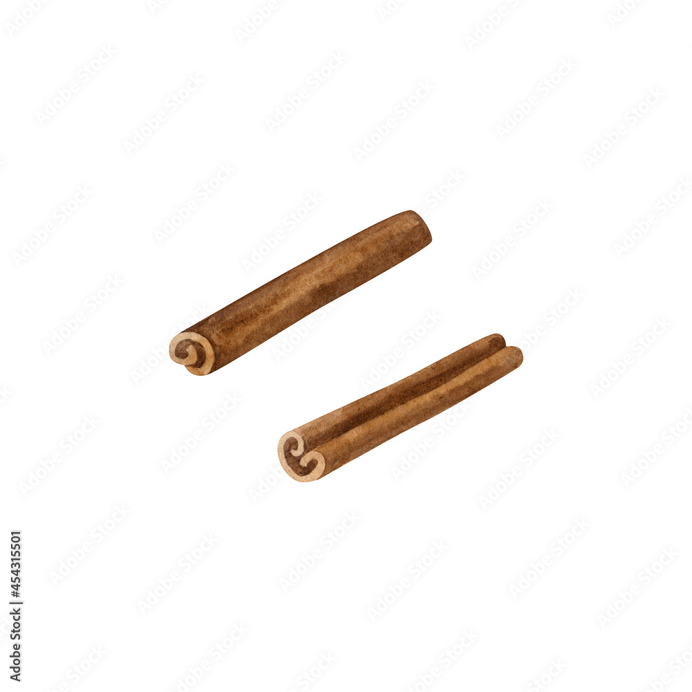 Dried cinnamon sticks isolate on white background. Watercolor illustration. Hand drawn clipart. Dried cinnamon sticks isolate on white background. Watercolor illustration. Hand drawn clipart.