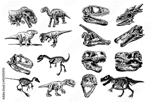 Graphical big set of dinosaurs isolated on white background,vector illustration