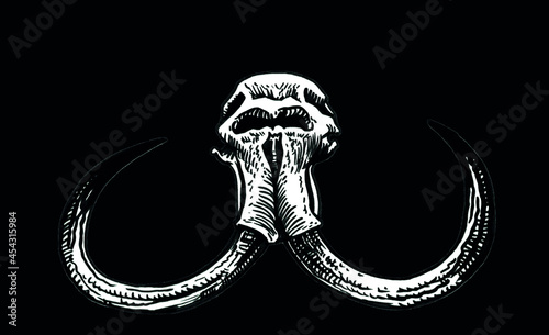 Graphical 3d skull of mammoth isolated on black background, vector paleontological element	