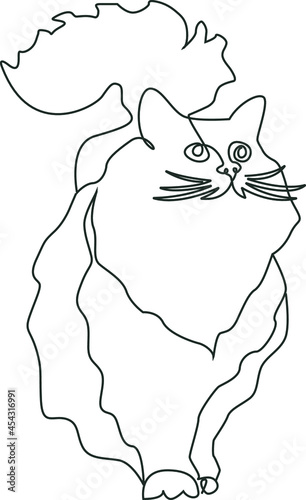 A fluffy cat. Vector line art illustration.
