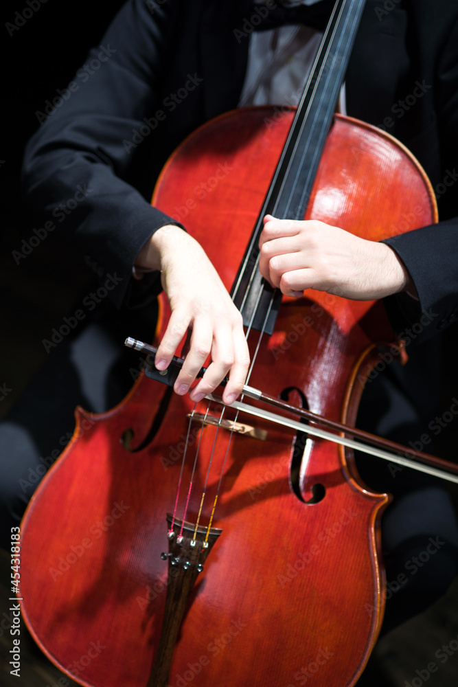 detail of the cellist playing the cello in the theater detail of the cellist playing the cello in the theater