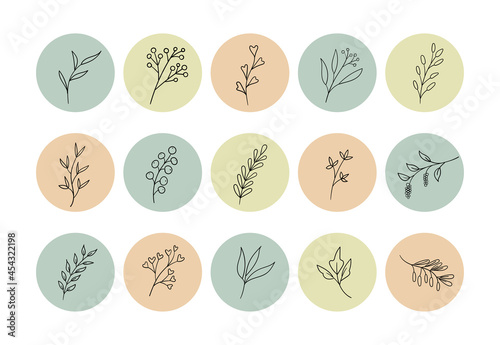 Highlight story cover icons for social media, instagram. Vector round backgrounds with hand drawn plants