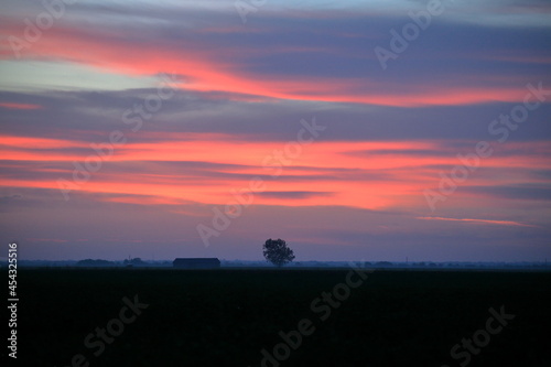 Lone Tree Sunrise