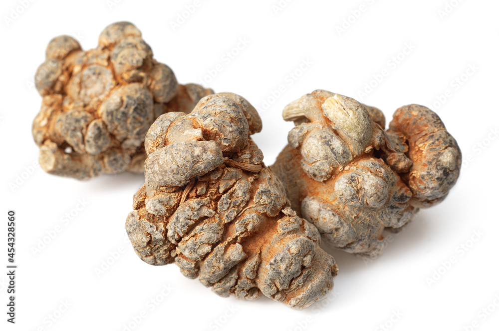 Dried notoginseng roots isolated on white background