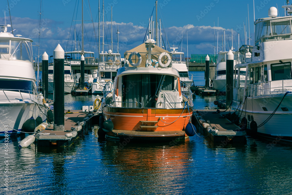 boats in harbor