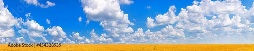 Rural landscape, panorama, banner - field of wheat in the rays of the summer sun under the sky with clouds