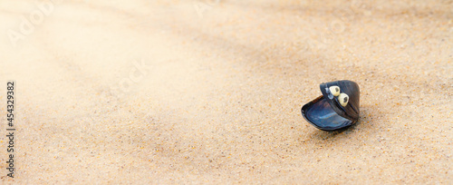 Summer background - shell hell in the form of a funny face on the sand in the sea surf. Horizontal banner with copy space for text