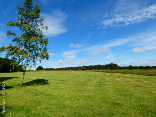 Green landscape, blue sky, Yorkshire, UK