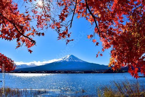 河口湖の富士山と紅葉