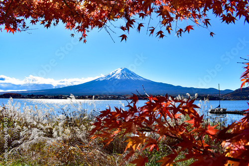 河口湖の富士山と紅葉とススキ