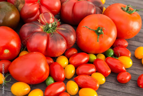 different varieties of ripe red and yellow appetizing tomatoes