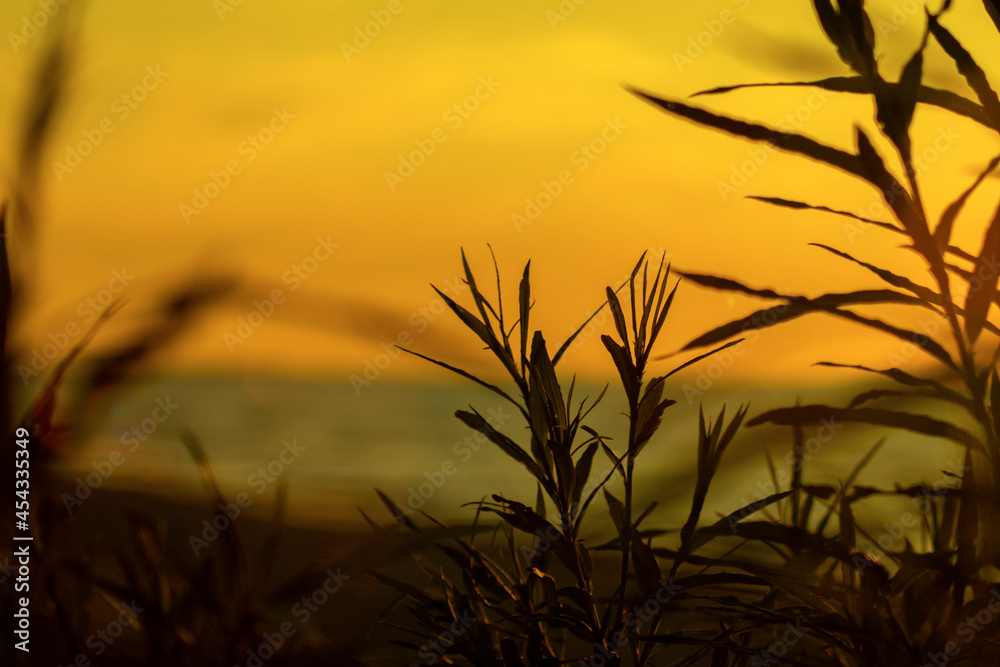 Kołobrzeski zachód słońca. Zdjęcia wykonane na plaży wschodniej - obrazy, fototapety, plakaty 