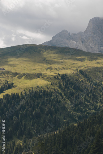 Hochalm mit grünen Wiesen und bewölktem Himmel in einem italienischen Gebirge