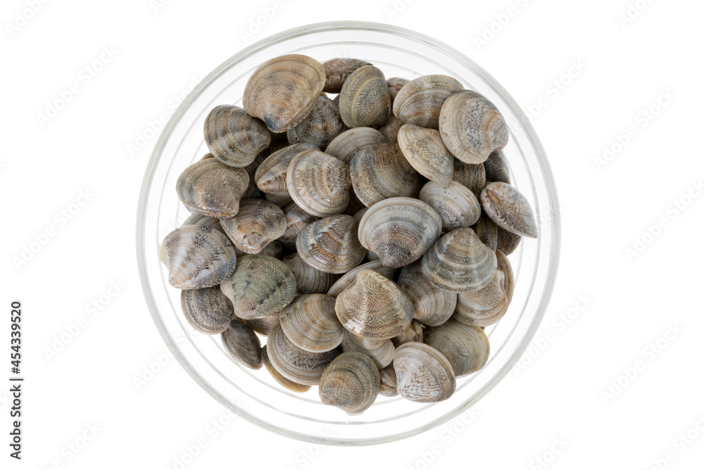 Raw fresh vongole clams of the Adriatic Sea in glass bowl in top view isolated on white, copy space