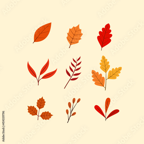 autumn leaves collection free vector