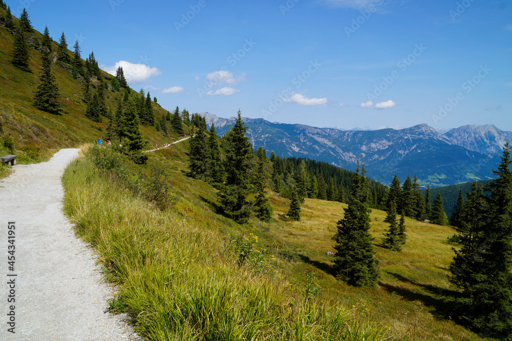a path leading through the beautiful alpine landscape in the Schladming-Dachstein region in the Austrian Alps (Austria) 