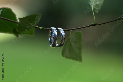 Wallpaper Mural Two wedding rings made from whit gold in natere green background. Marriage concept. Torontodigital.ca