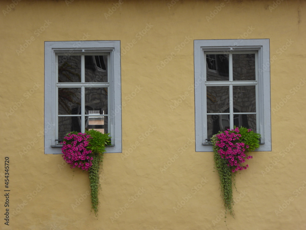 Fenster mit Petunien