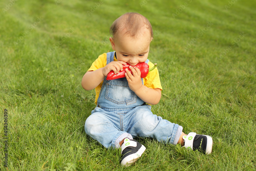 a beautiful little boy in a yellow T-shirt and denim overalls is sitting on the lawn eating red bell pepper a beautiful little boy in a yellow T-shirt and denim overalls is sitting on the lawn eating red bell pepper