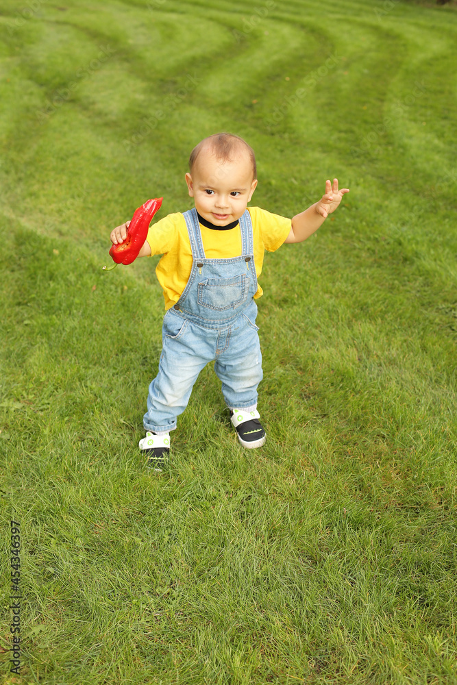 a little boy in a yellow T-shirt is standing on the lawn in the park holding a red bell pepper a little boy in a yellow T-shirt is standing on the lawn in the park holding a red bell pepper