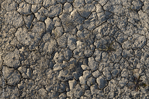 Beautiful texture of Gray soil with cracks is outside in summer