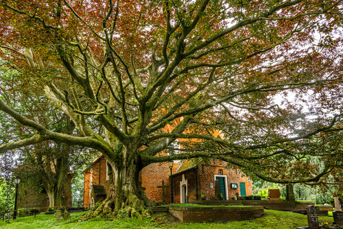 Foto Kirch St. Bartholomäus Dornum / Ostfriesland