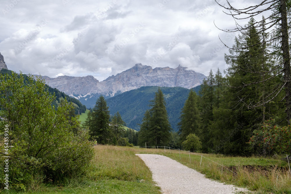 Fototapeta premium Alta Badia (Dolomiti) - August: Beautiful summer mountain view of Passo Sella and high peak Sassopiatto and Sassolungo, Langkofel, Dolomiti, Sella group. Green meadows and pastures, alpine dolomites