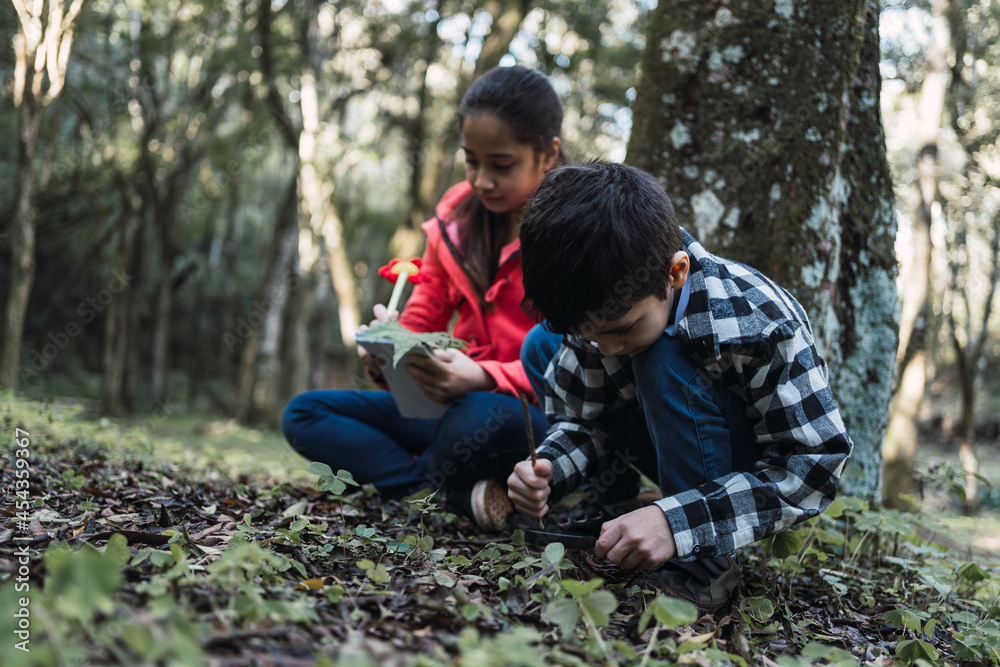 Happy ethnic children with loupe studying leaf in forest Happy ethnic children with loupe studying leaf in forest