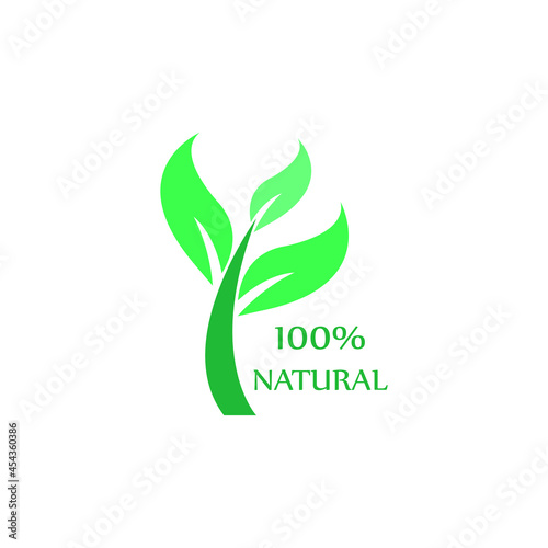 Natural leaf icon. 100  naturals vector image