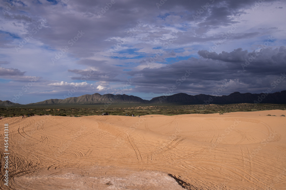 Fototapeta premium desierto