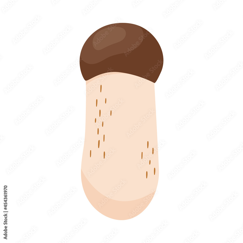 Cep mushroom in flat style. Hand drawn vector illustration of edible wild forest penny bun. Autumn symbol, organic food icon. Isolated doodle element for design Cep mushroom in flat style. Hand drawn vector illustration of edible wild forest penny bun. Autumn symbol, organic food icon. Isolated doodle element for design
